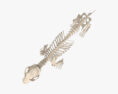 Dog Skeleton 3d model