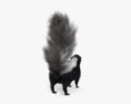Skunk 3d model