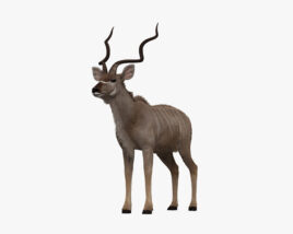 Greater Kudu HD 3D model