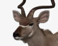 Großer Kudu 3D-Modell