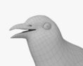 Eurasian Magpie 3d model