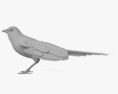 Eurasian Magpie 3d model
