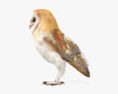 Barn Owl HD 3d model