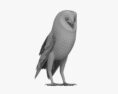 Barn Owl 3d model