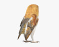 Barn Owl 3d model