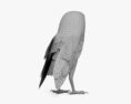 Barn Owl 3d model