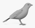 House Finch 3d model