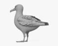 Albatross 3d model