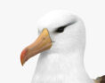 Albatross HD 3d model