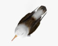 Albatross 3d model