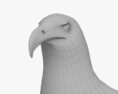 대머리 독수리 3D 모델 