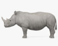 White Rhinoceros HD 3d model