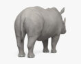 White Rhinoceros HD 3d model