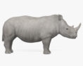 Білий носоріг 3D модель