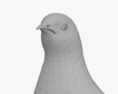 Common Quail 3d model