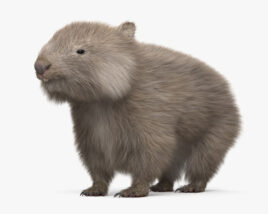 Wombat HD 3D-Modell