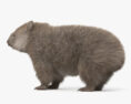 Wombat HD 3d model