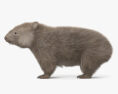 Wombat 3d model