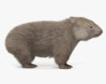 Wombat HD 3d model