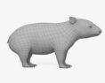 Wombat 3d model