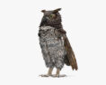 Great Horned Owl 3d model