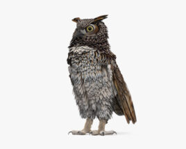 Great Horned Owl HD 3D model