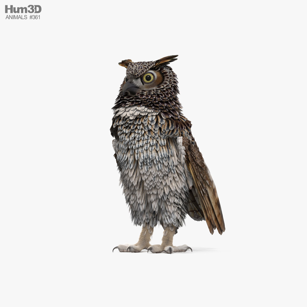Great Horned Owl 3d model