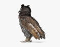 Great Horned Owl 3d model