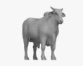 Zebu 3d model