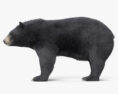 Asian Black Bear HD 3d model