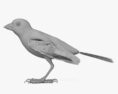 Goldfinch 3d model