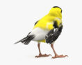 Goldfinch 3d model