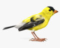 Goldfinch 3d model