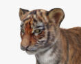 Tigerjunges 3D-Modell