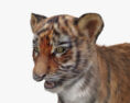 虎の子ども 3Dモデル