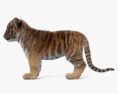 Tiger Cub HD 3d model