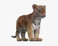 虎の子ども 3Dモデル