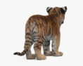 Cachorro de tigre Modelo 3D