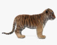 Tiger Cub HD 3d model