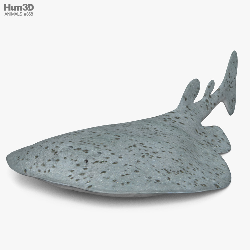 Pacific Electric Ray 3D model