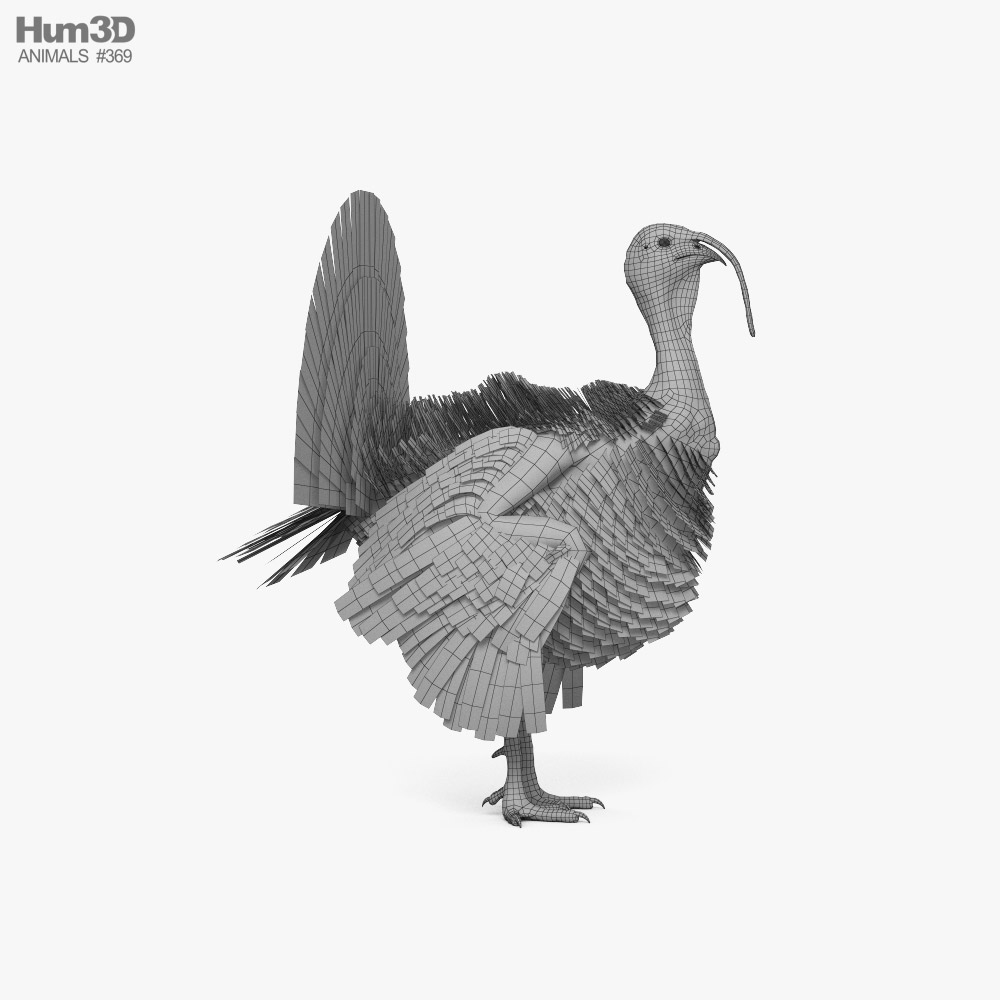 Turkey Print ready 3D model - Animals on Hum3D