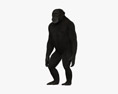Chimpanzé-comum Modelo 3d