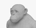침팬지 3D 모델 