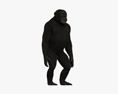 Chimpanzé-comum Modelo 3d