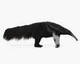 Giant Anteater HD 3d model