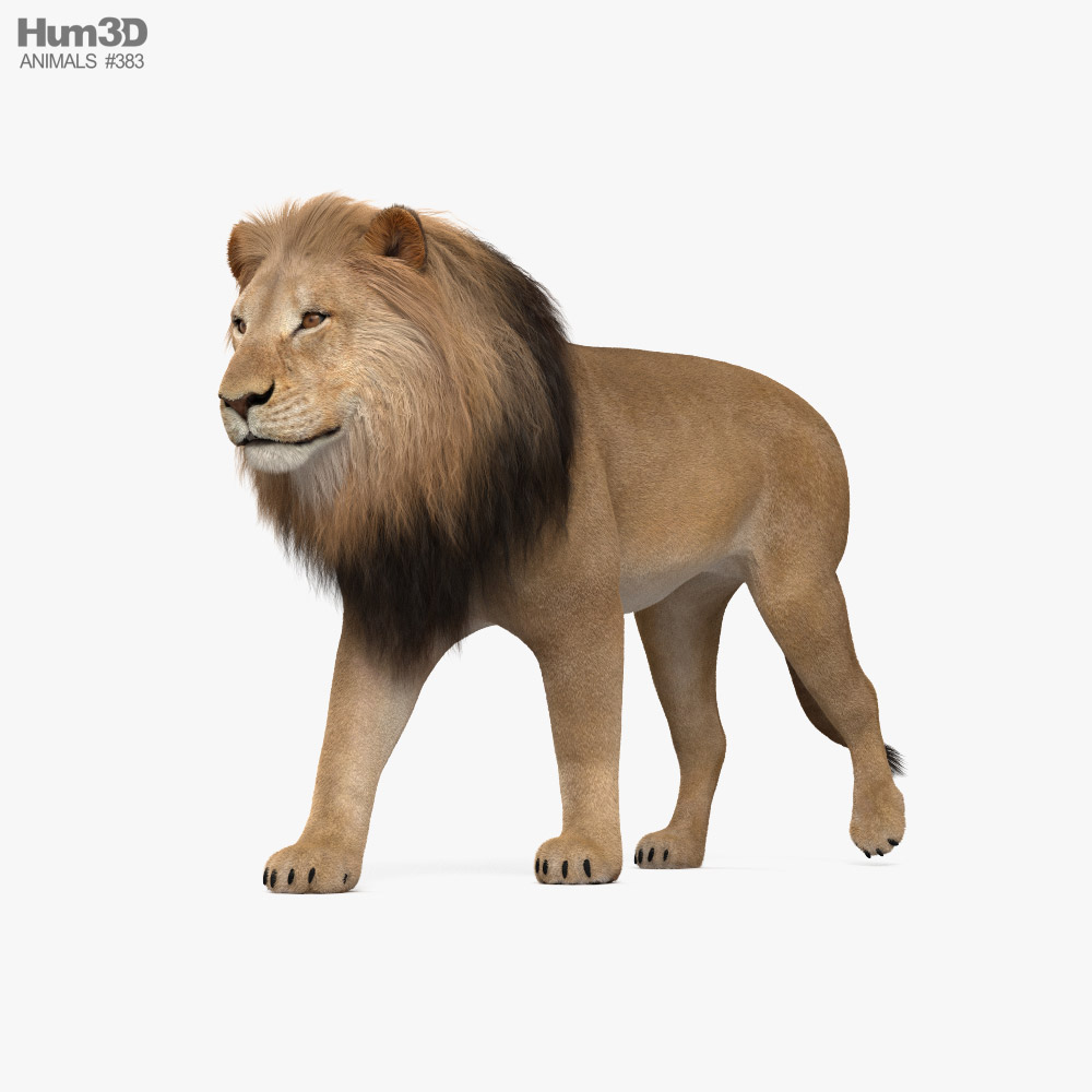 Lion Walking HD 3D модель