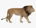 Lion Walking Modelo 3d