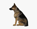Sitzender Deutscher Schäferhund 3D-Modell