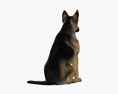 Sitzender Deutscher Schäferhund 3D-Modell