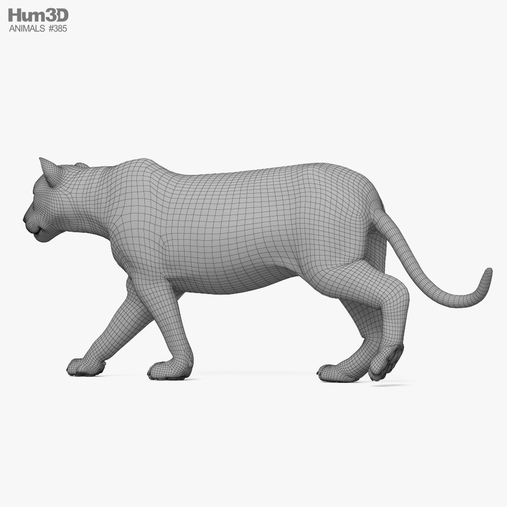 Walking Tiger 3D Model - Animals On Hum3D